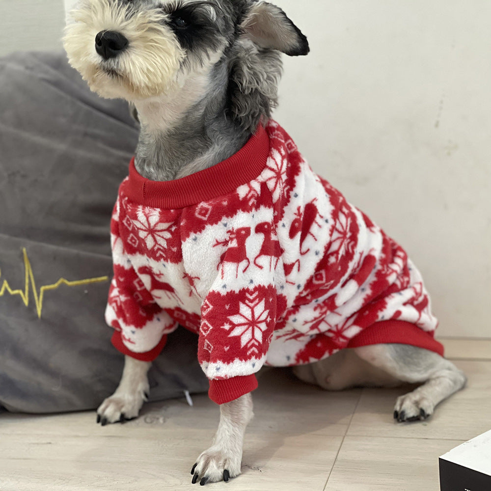 Winter warmth: padded dog sweater for Christmas