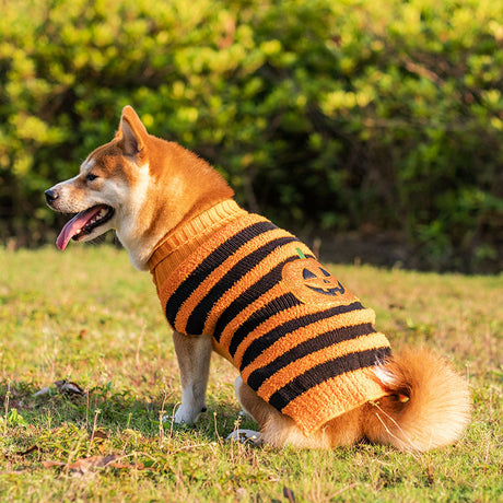 Halloween dog sweater: Cozy cosplay outfit for your four-legged friend