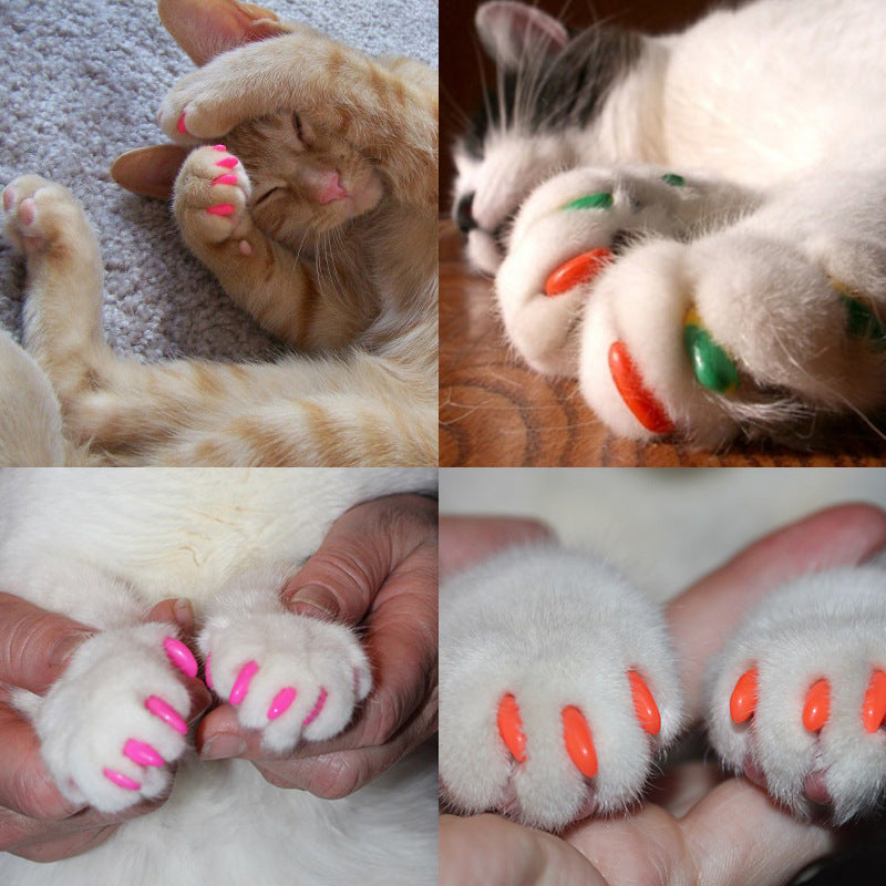 Cat Nail Caps - Protective and stylish paw care for your cat