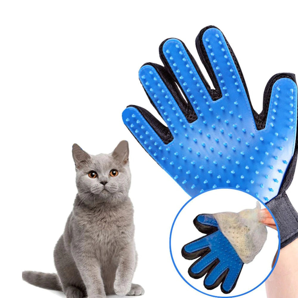 Katzenpflegehandschuh: Vereinfachen Sie die Fellpflege!