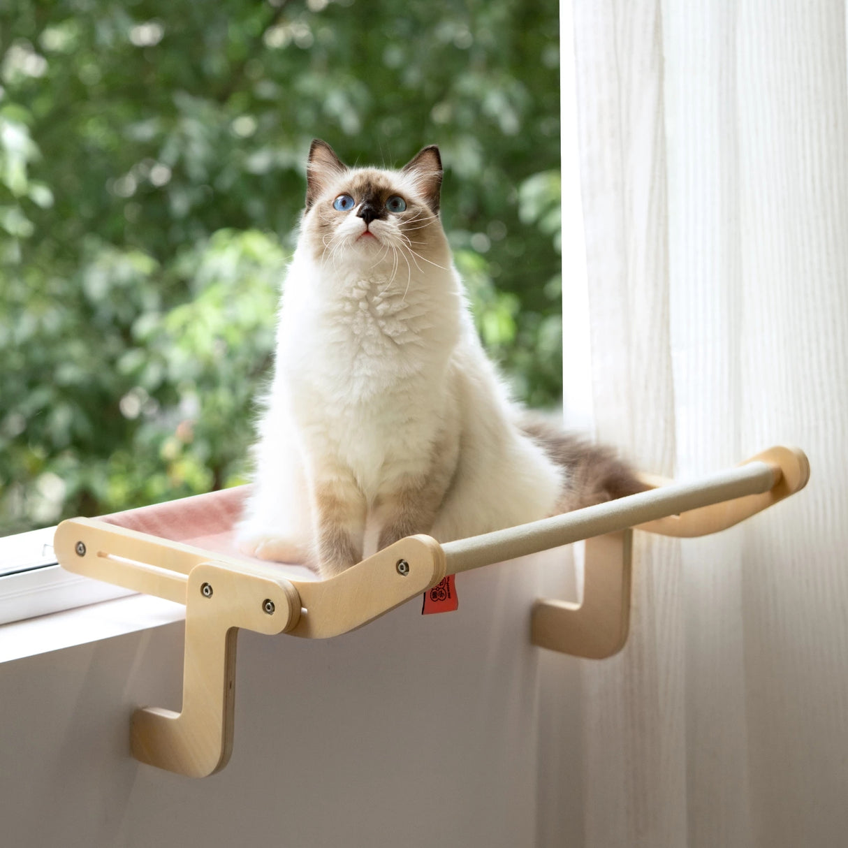 Mewoofun cat window berth: comfort and style combined!