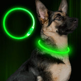 Light-up pet collar for nighttime safety!