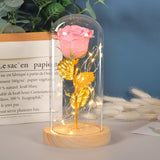 Eternal rose flowers with LED light in glass cover