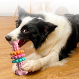 Sturdy chew bone toy for dogs - cleaning and entertainment in one