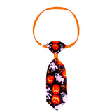 Pet Halloween Set with Skull and Tie