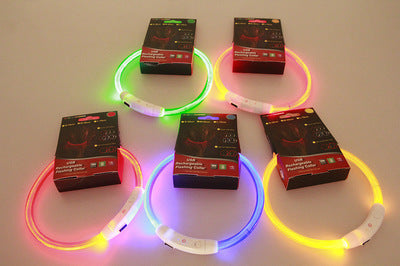 Light-up pet collar for nighttime safety!