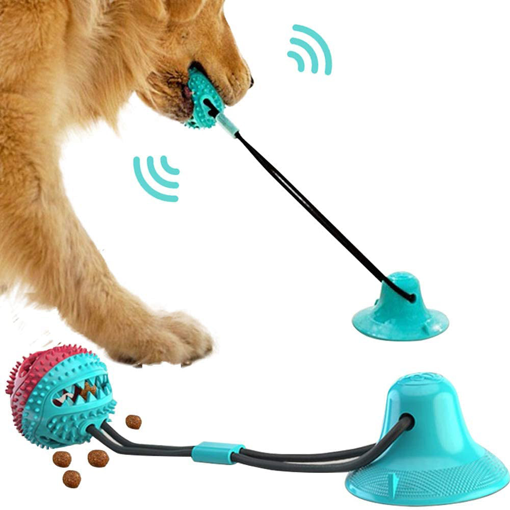 Interactive dog toy with suction cup