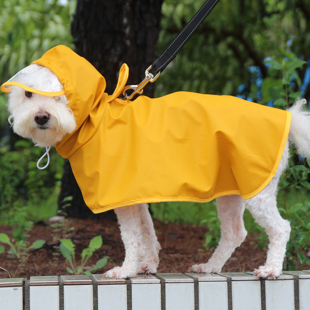 Hochwertiger Hunde-Regenmantel mit transparentem Schirm: Sicher und Stilvoll im Regen