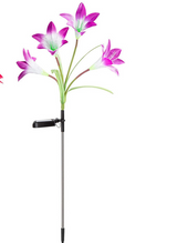 Solar Lily Flower Lights - LED Solar Garden Light Lawn Light Landscape Light Waterproof Flower Light